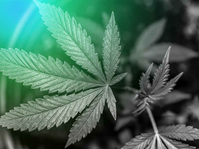 Yes, There’s a Cannabis Breathalyzer. Here’s What You Need to Know